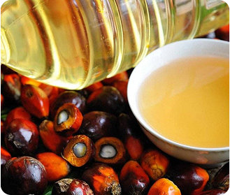 Palm Oil and Olein